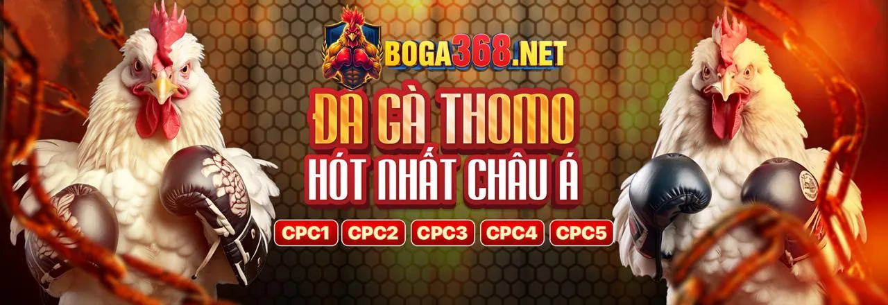 Hướng Dẫn Casino Trực Tuyến